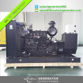 Shangchai Motor SC7H250D2 elektrischen Dieselgenerator 200 kVA